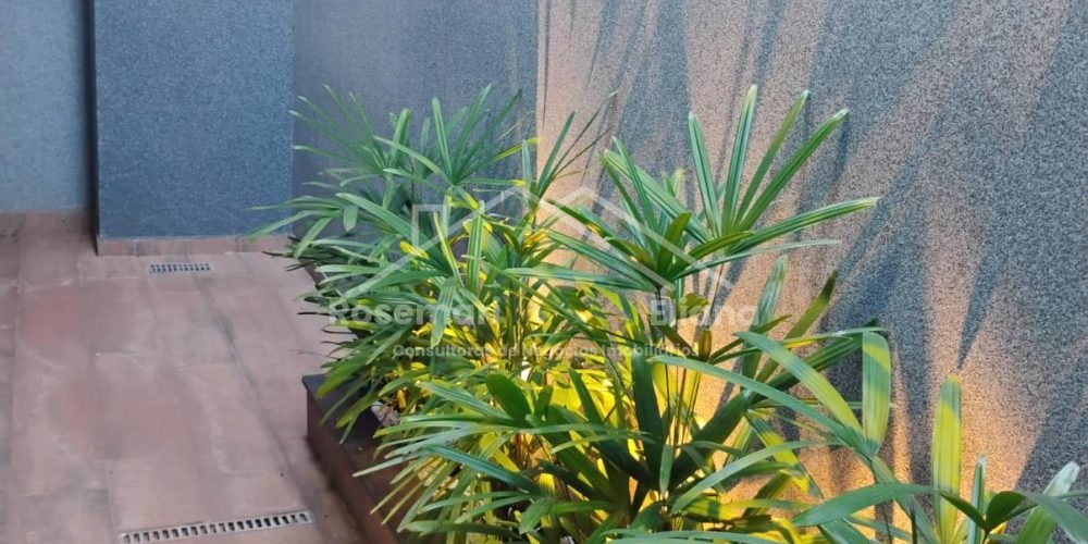 WhatsApp Image 2025-08-20 at 11.37.39