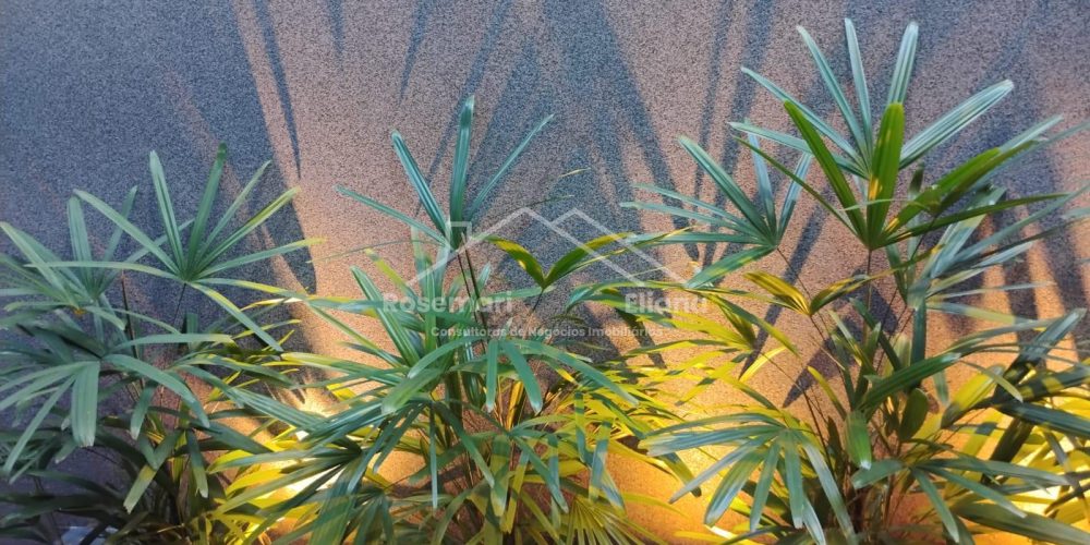 WhatsApp Image 2025-08-20 at 11.37.58