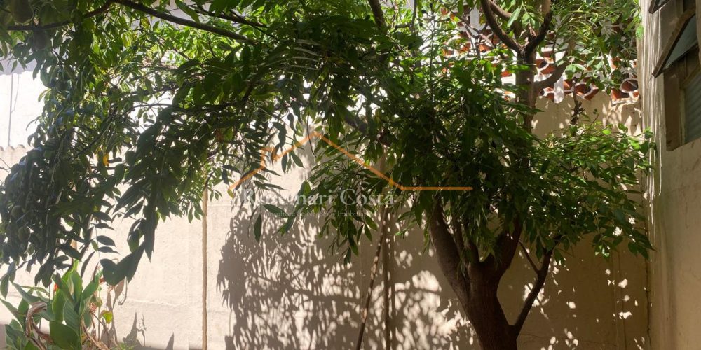 WhatsApp Image 2025-11-12 at 14.37.47